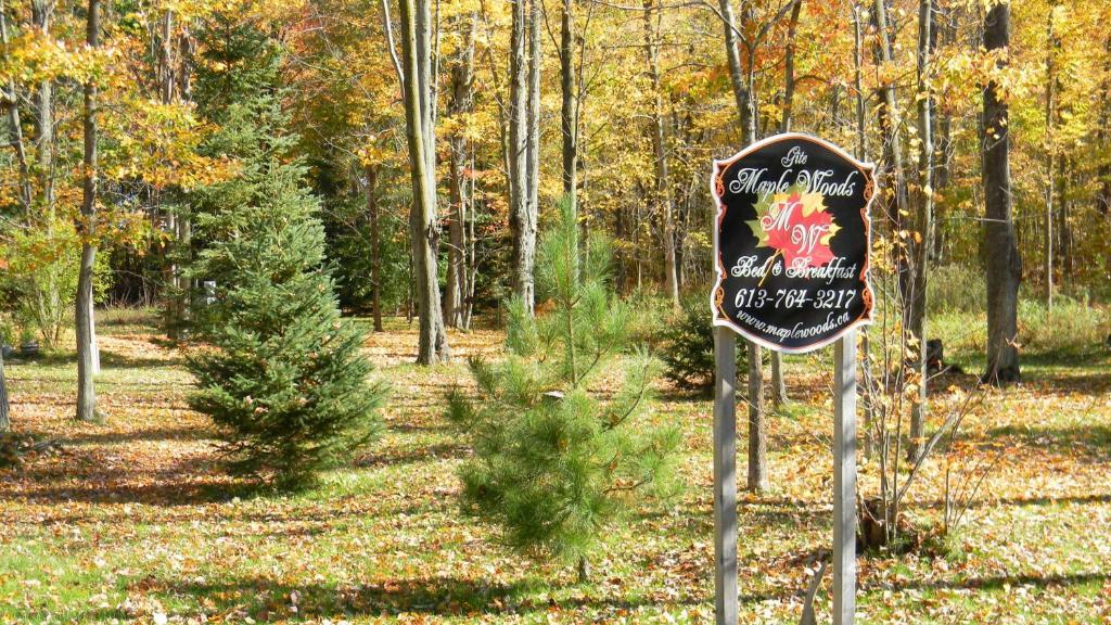 Bed and Breakfast Maple Woods à Casselman Extérieur photo