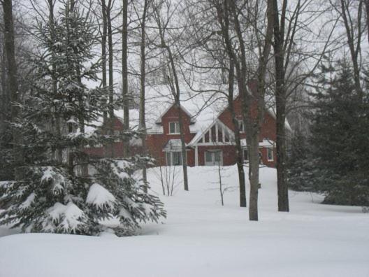 Bed and Breakfast Maple Woods à Casselman Extérieur photo